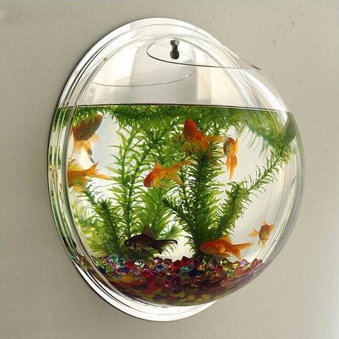 9. Add Fish Tank by simphome.com