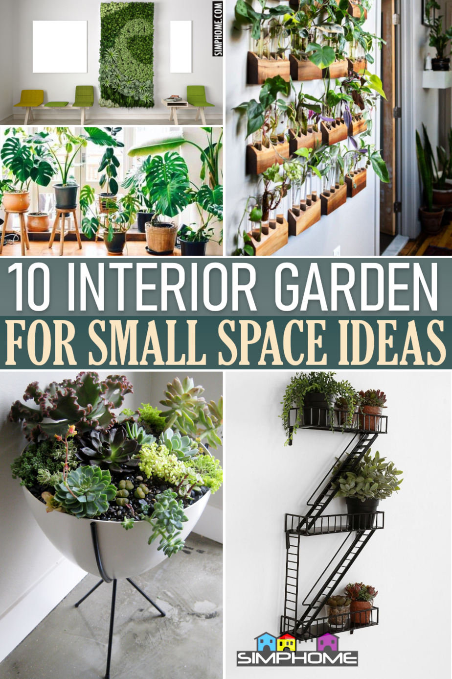 10 Interior Garden Ideas for Small Property Featured Image via SIMPHOME.COMThumbnail