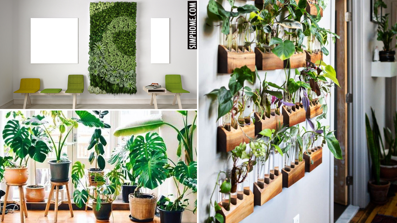 10 Interior Garden Ideas for Small Property via SIMPHOME.COMThumbnail