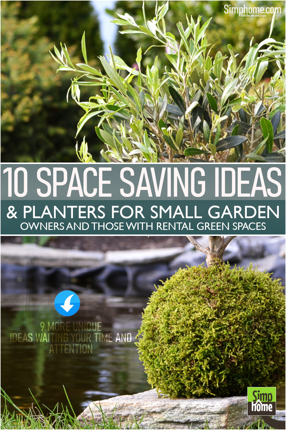 Get the 10 Space saving ideas for a small garden